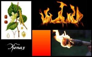Kenaz (ELEMIAH VOYANCE 08 99 96 90 99) Kenaz (ELEMIAH VOYANCE 08 99 96 90 99)
