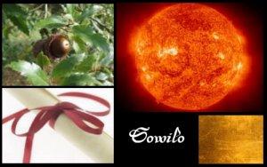 Sowilo (ELEMIAH VOYANCE 08 99 96 90 99)