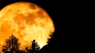 La lune en voyance - Voyance rapide au 08.99.96.90.99